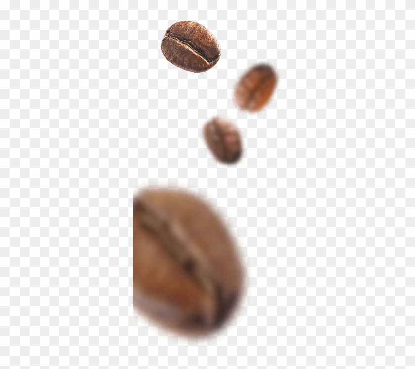 Coffee Beans - Macro Photography Clipart #3668664