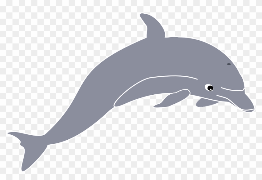 Dolphin Clip Art - Png Download #3668946