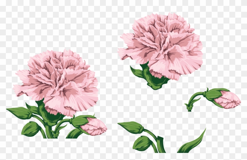 Carnations, Watercolor Flowers, Paint, Hands - Watercolor Carnation Flower Png Clipart #3668987