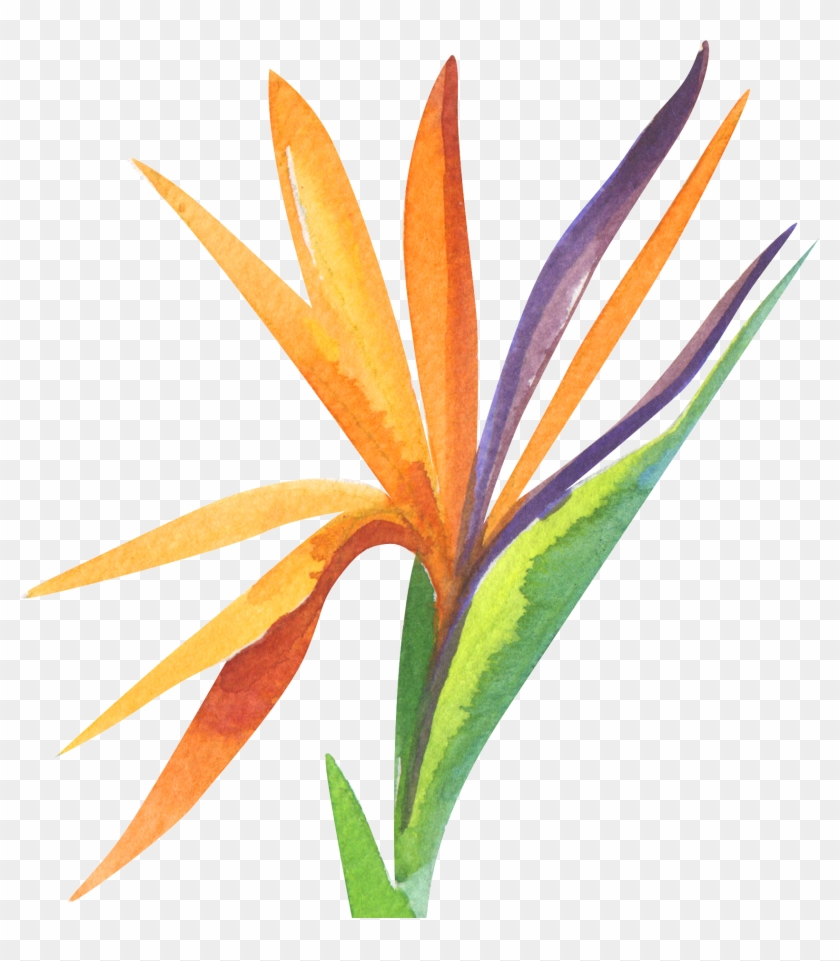 Service Or Sacrifice Clipart