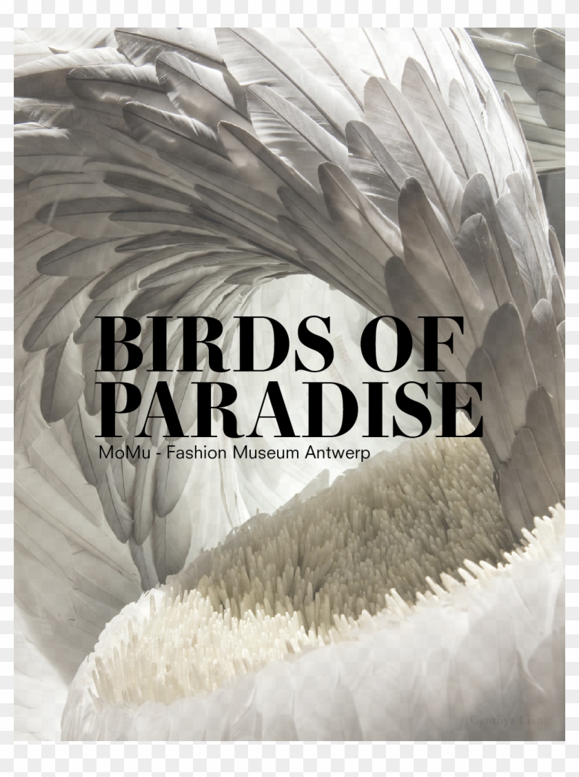 Birds Of Paradise - Hagoromo Nathan Davis Clipart #3669164