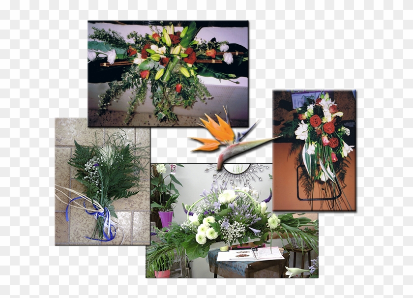 Oiseau Mariage 1 - Bird Of Paradise Clipart