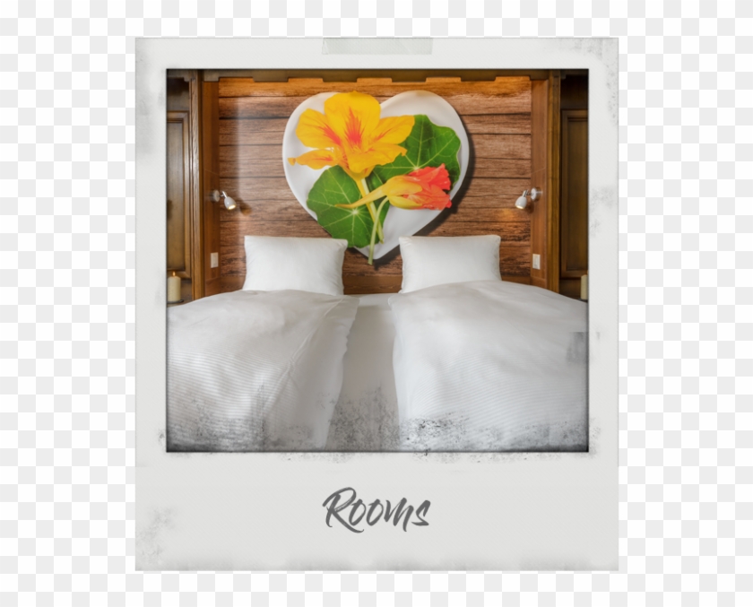 Plywood Clipart #3669746