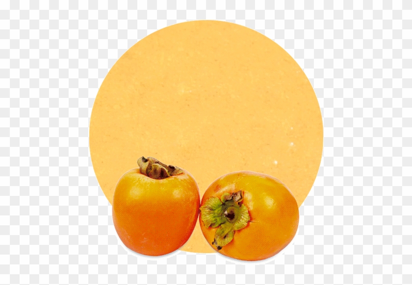 Kaki Puree - Plum Tomato Clipart #3670093