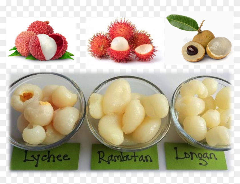 Lychee Has More Is Similar In That It Is Red, But There - Rambutan Clipart #3670155