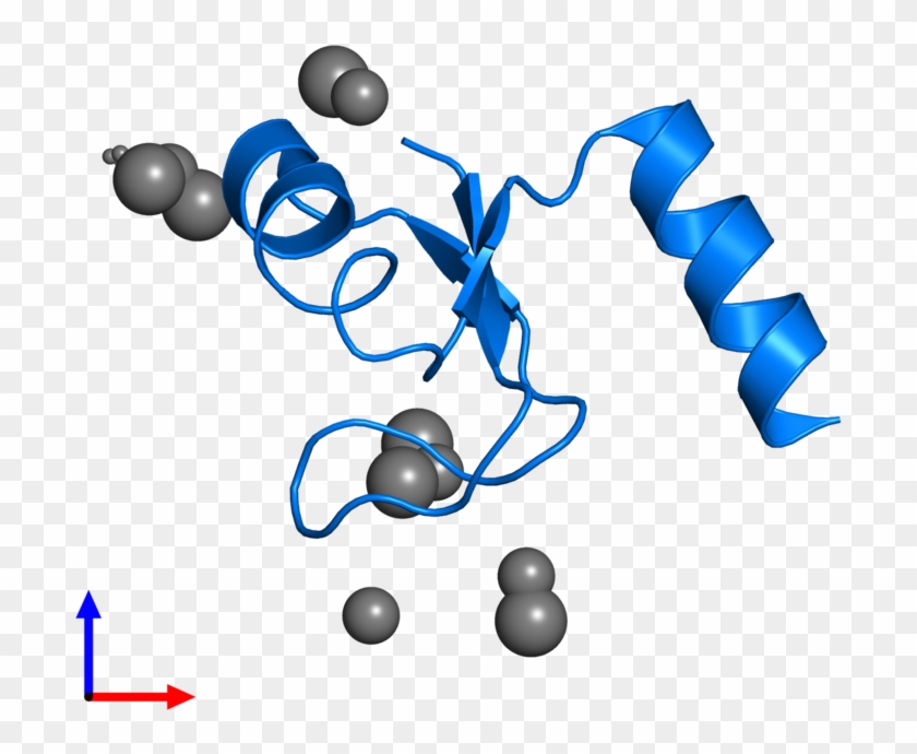 <div Class='caption-body'>pdb Entry 2hba Contains 1 - Graphic Design Clipart