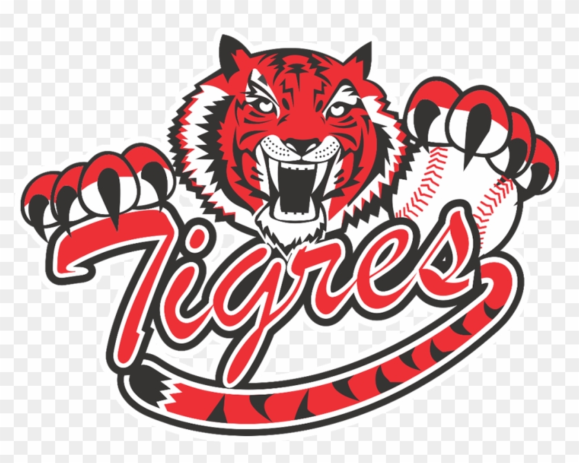 Inicio Tigres De Cartagena Lcbp - Tigres De Cartagena Clipart
