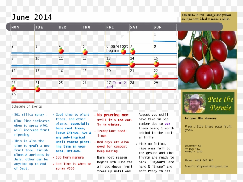 Calendar Example June 2014 02 Jan 2017 - Tree Tomato Clipart