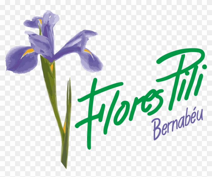 Flores Pili Madrid - Iris Versicolor Clipart