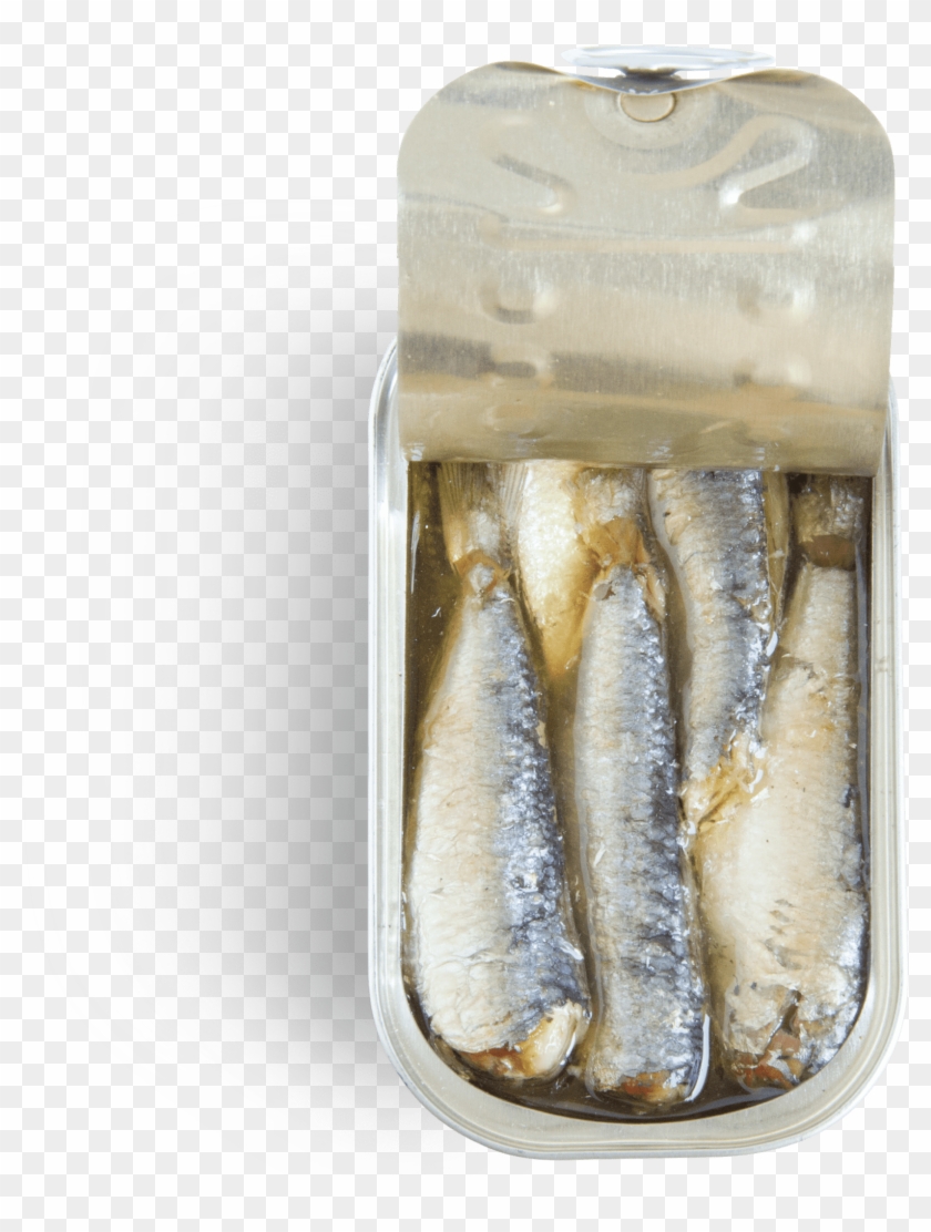 Sardines In Spicy Vegetable Oil - Sardine Clipart