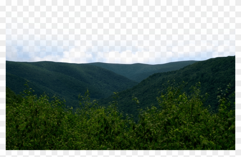 Diseño Web Por - Hill Clipart