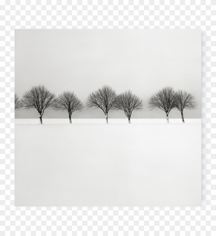 Photo Snow Scene Iii - Monochrome Clipart #3675144