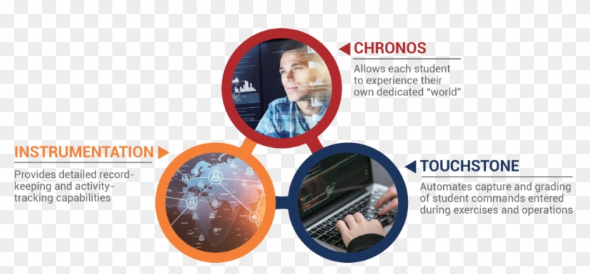 Ginkgo - Publication Clipart