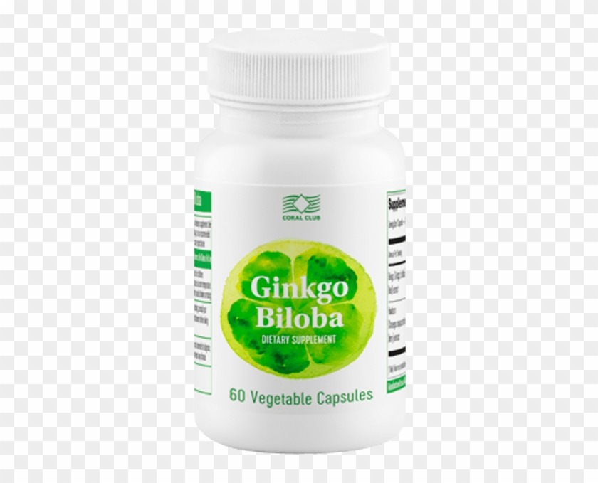 Maidenhair Tree Clipart