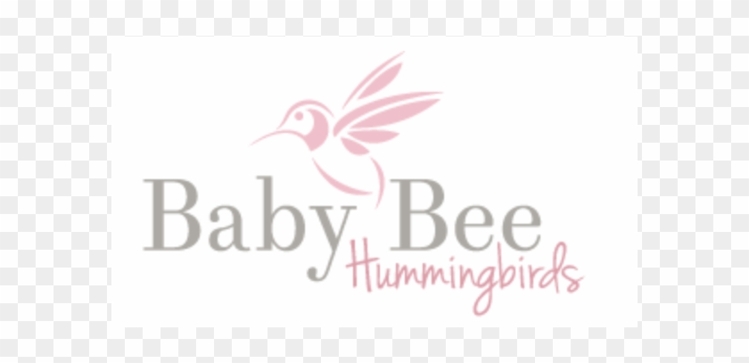 Baby Bee Hummingbirds - Couchsurfing Clipart