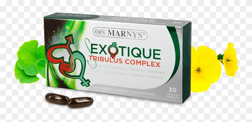 Exotique Tribulus Complex Clipart