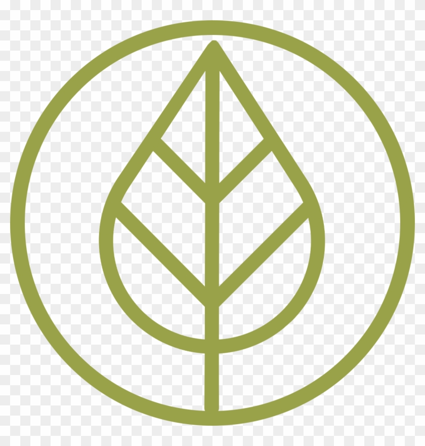 Odorless*, Health-focused Paint, Stains, And Varnishes - Trinity Park Conservancy Clipart #3677147