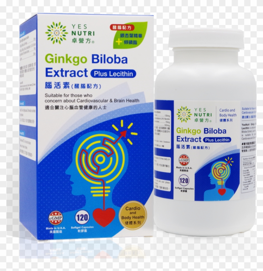 Ginkgo Biloba Extract (120 Sg) - Medical Clipart #3677376