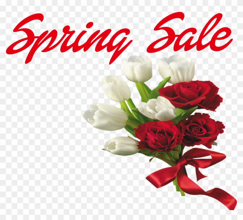 Msg De Aniversario Para Nora Querida Clipart