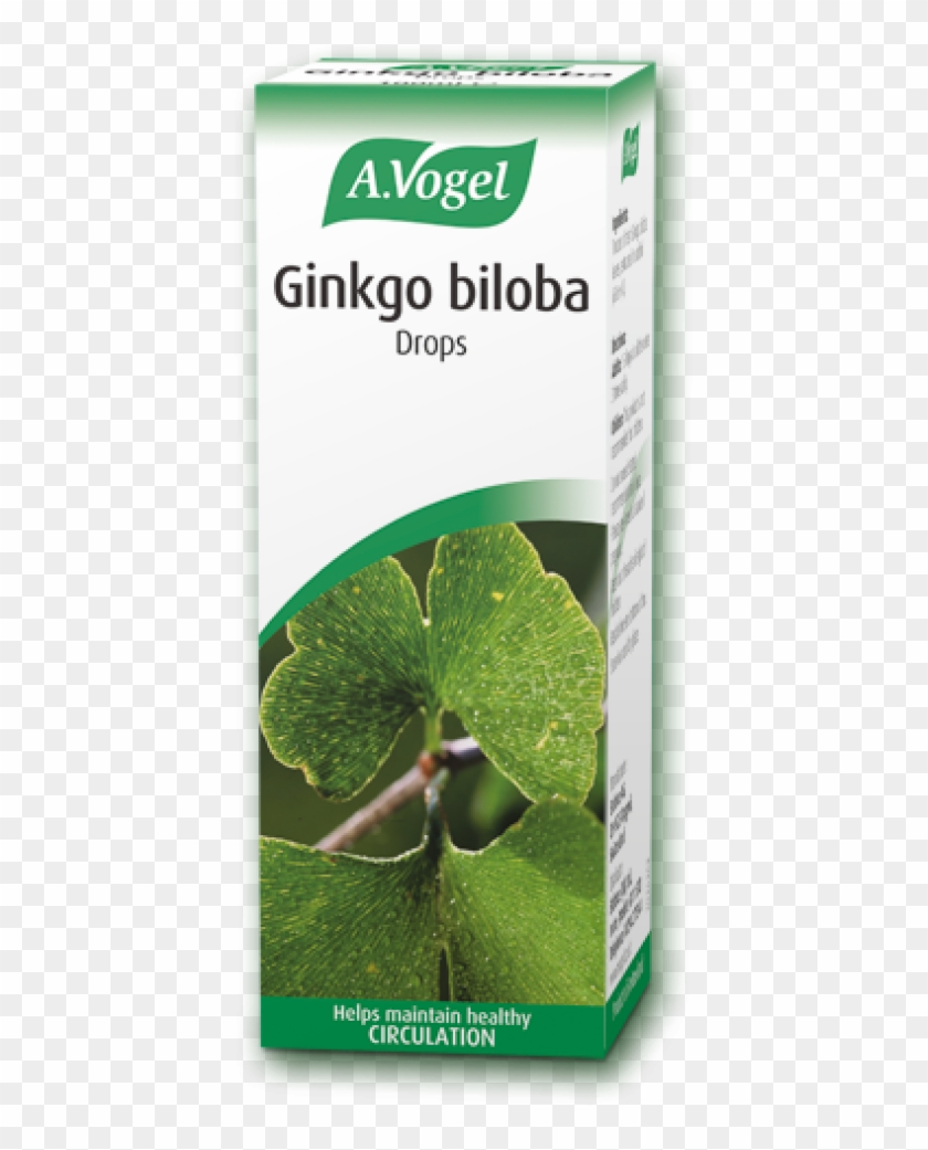 A Vogel Ginkgo Biloba 50ml - Vogel Stress Relief Daytime 50ml Clipart #3677964