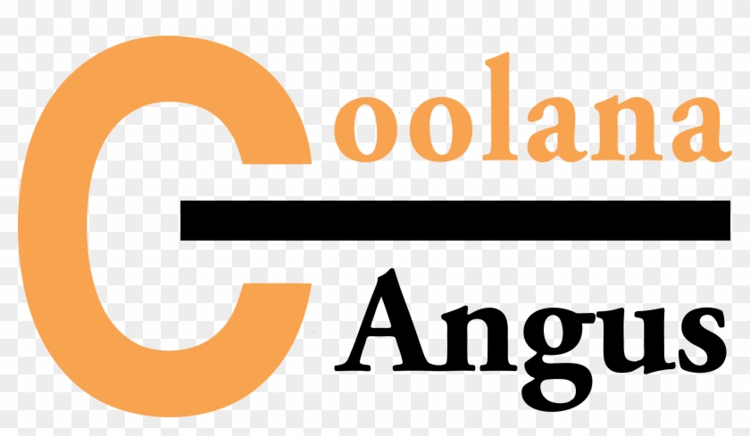 Coolana Angus Spring Bull Sale - Coolana Angus Clipart #3678297