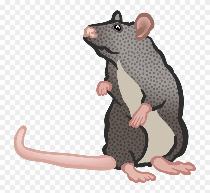 Home Clipart Rat - Ratte Clipart - Png Download
