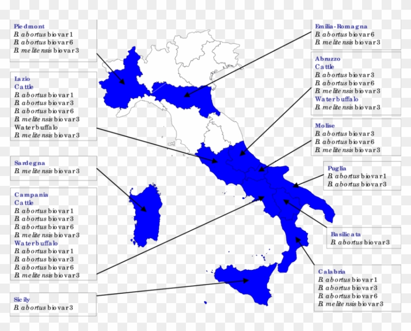 Geographic Distribution Of Brucella Strains Isolated - Map Of Italy Clipart #3679247