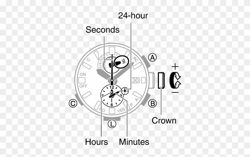 5588 29 Tr - Circle Clipart #3680716