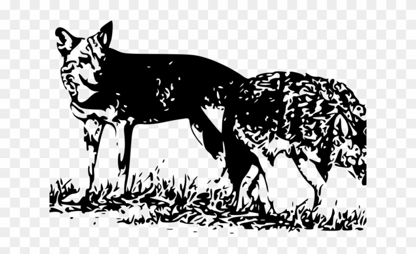 Wolf Clipart Lone Wolf - Rod Coronado - Png Download #3681893