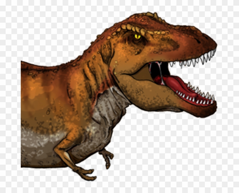It Is Sized To Fit The Dinosaur Is Sized To Fit The - Tyrannosaurus Rex En Ingles Clipart #3682181