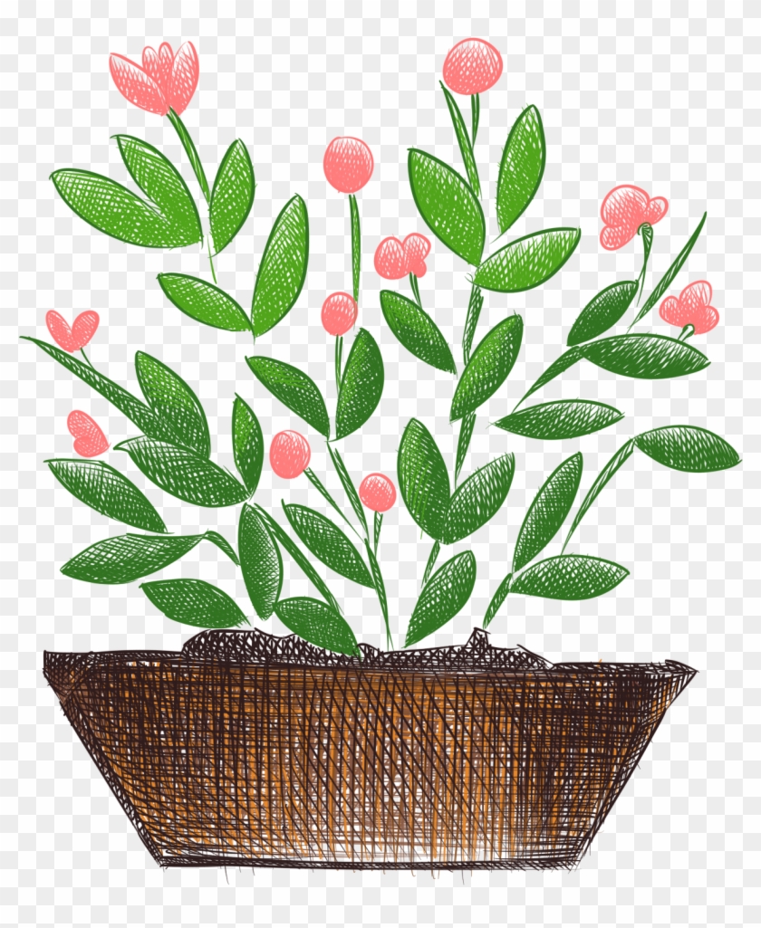 Pintados À Mão Plantas Flores Pintadas Em Vasos Frescos - รูป วาด กระถาง ต้นไม้ Clipart