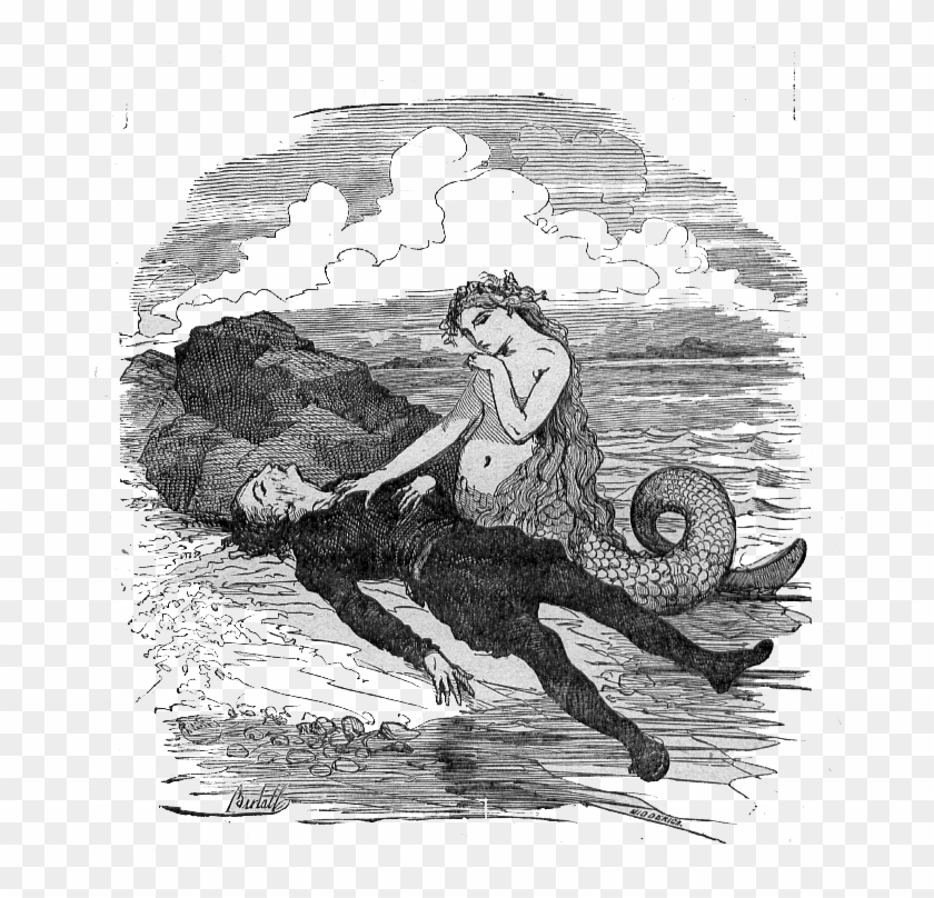 The Little Mermaid Meets The Prince - Little Mermaid Not Disney Clipart