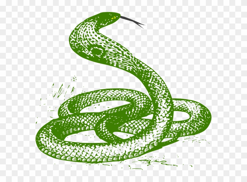 Green Clip Art At Clker Com Vector Ⓒ - Green Snake Clipart Png Transparent Png #3684268
