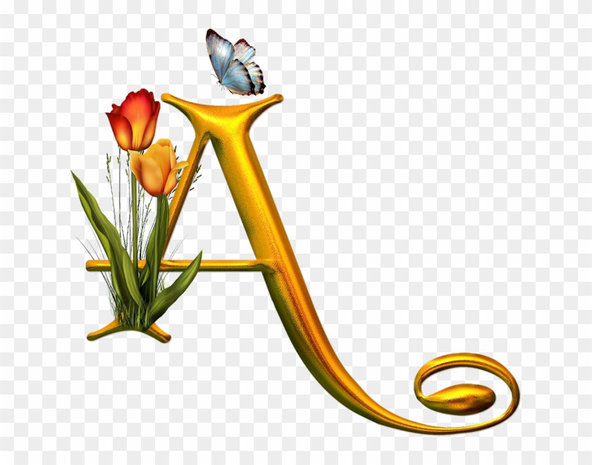 Bello Alfabeto Con Flores Y Mariposas - Letras Desenhadas Clipart
