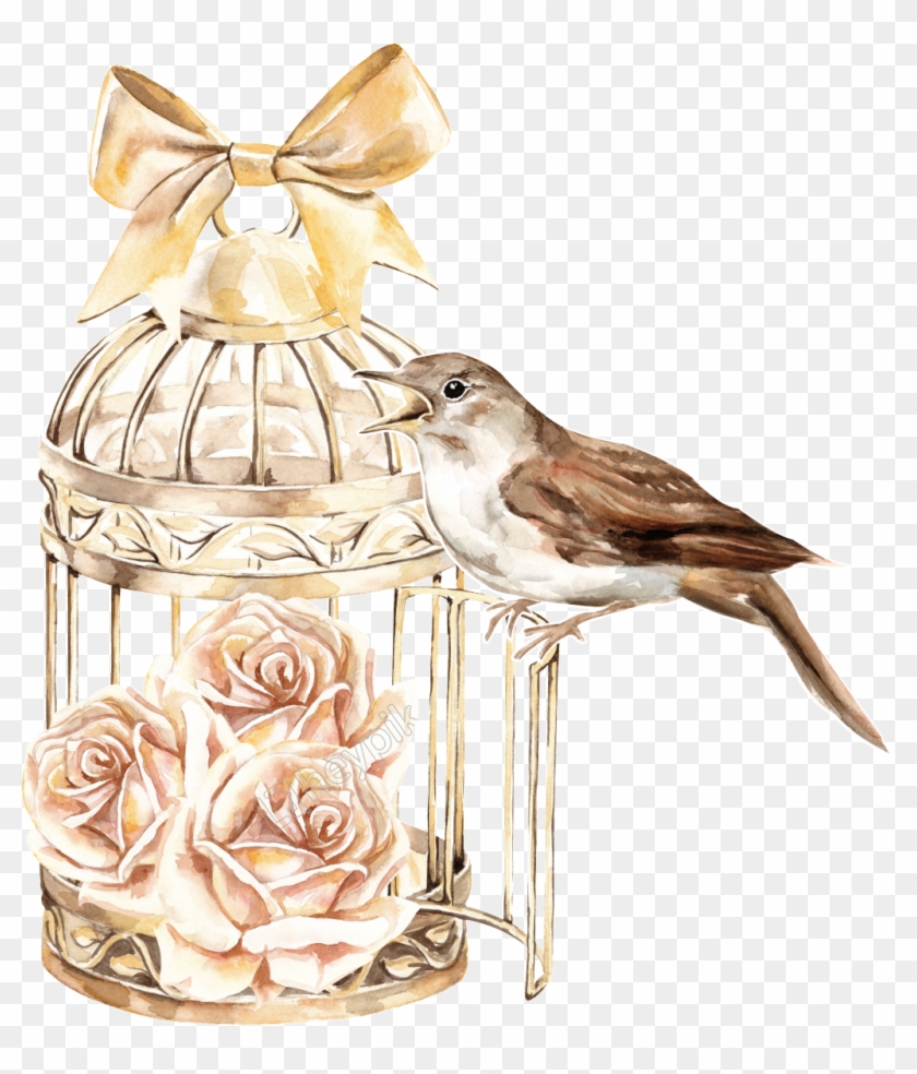Classical Bird Cage - Birdcage Floral Watercolor Clipart
