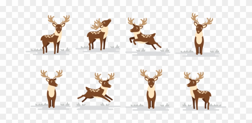 Deer Caribou Cartoon Vector - Alaskan Caribou Cartoon Clipart #3684914