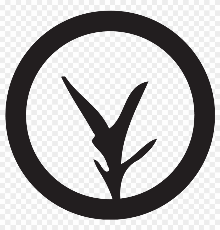 Play Button Icon Transparent Clipart