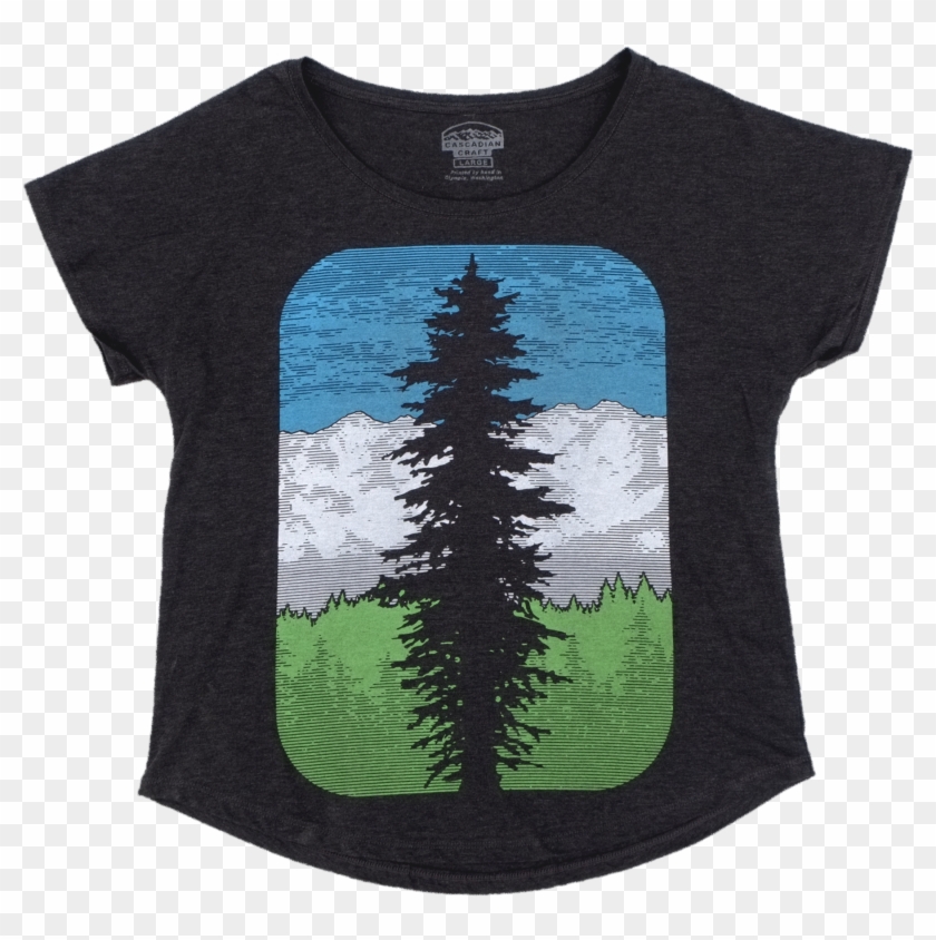 Douglas Fir Png Clipart