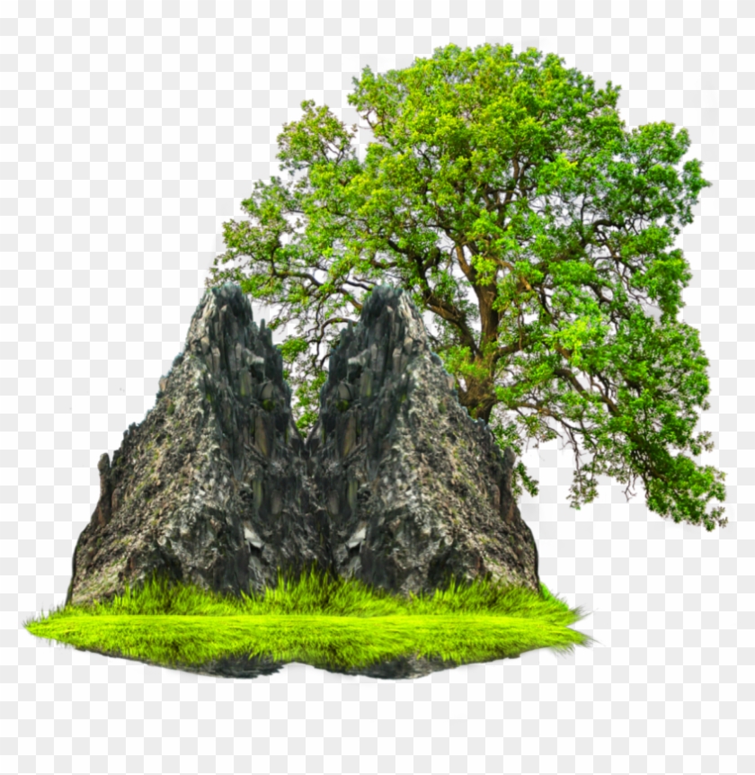 #ftestickers #mountain #tree - Tree On White Background Clipart #3685412