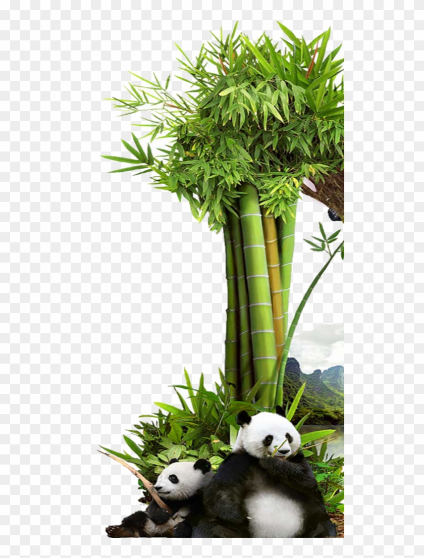 #mq #grass #green #bambu #panda #nature - Grass Clipart