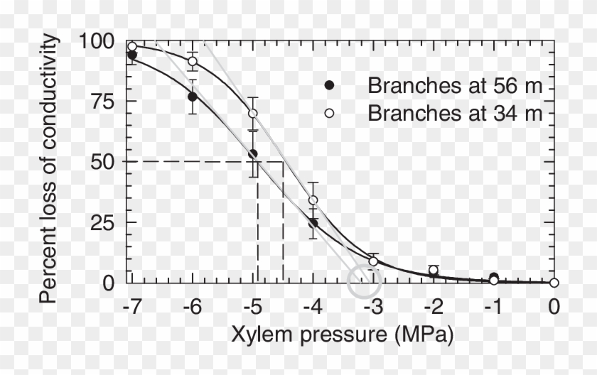 Vulnerability To Embolism Curves For Xylem Of Douglas - Activehours Clipart #3685787