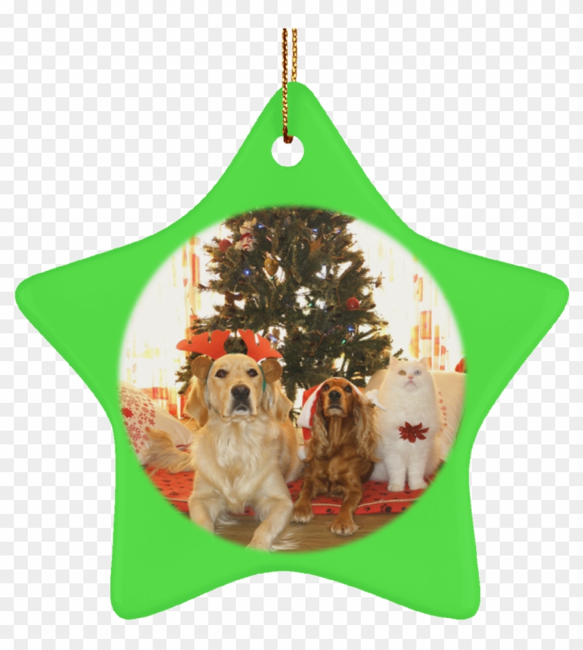 Pet Christmas Tree Ornament Cat Gift Crafted Holiday - Christmas Tree Ideas For Dogs Clipart #3686349