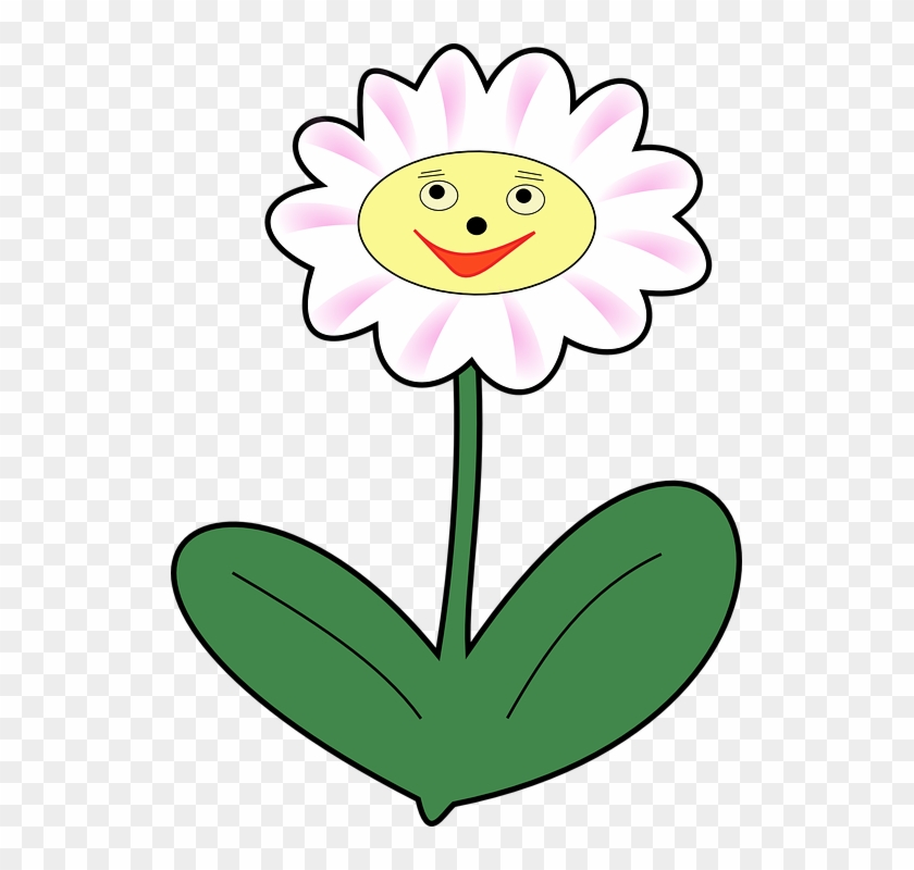 Daisy Flower Plant Face Happy Spring - Clipart Flower With Face - Png Download #3686448