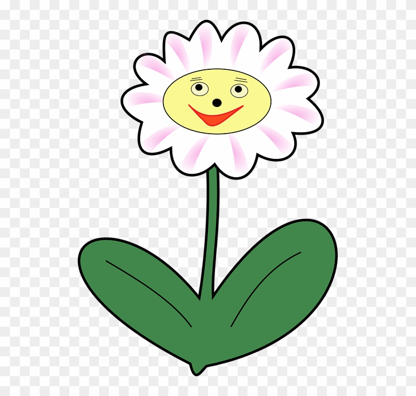 Daisy Flower Plant Face Happy Spring - Clipart Flower With Face - Png Download