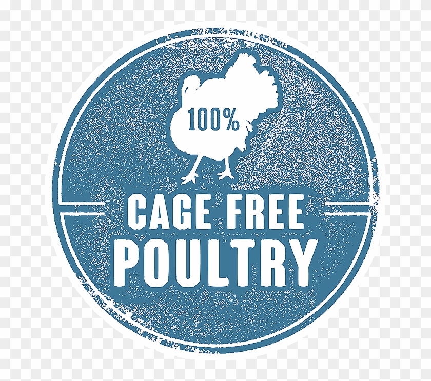 Duck - Circle Clipart