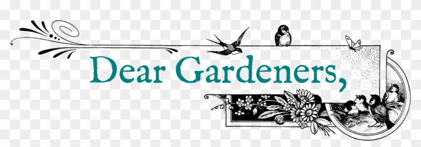 Welcome To An Exciting Gardening Season, Filled With - Illustration Clipart #3688677