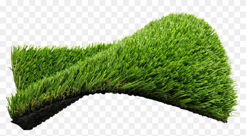 View New Product - Sweet Grass Clipart #3688735