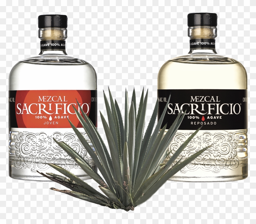 Botellas Mezcal Sacrificio - Mezcal Sacrificio Clipart