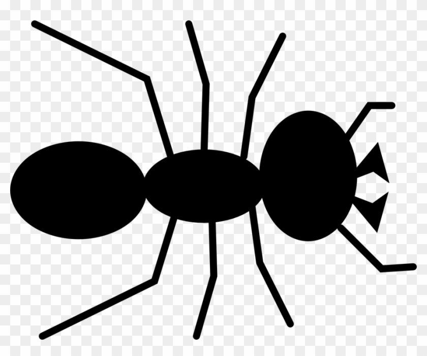 Hormiga, Escarabajo, Insecto, Insectos, Antena, Pest - Ant Clipart - Png Download #3691819