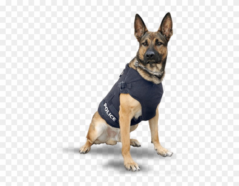Police Dog Png Clipart #3692025